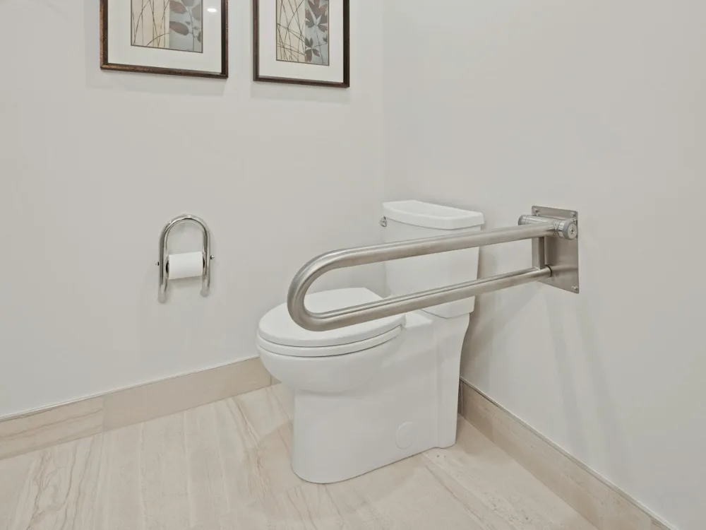 Accessible toilet with a wall-mounted grab rail